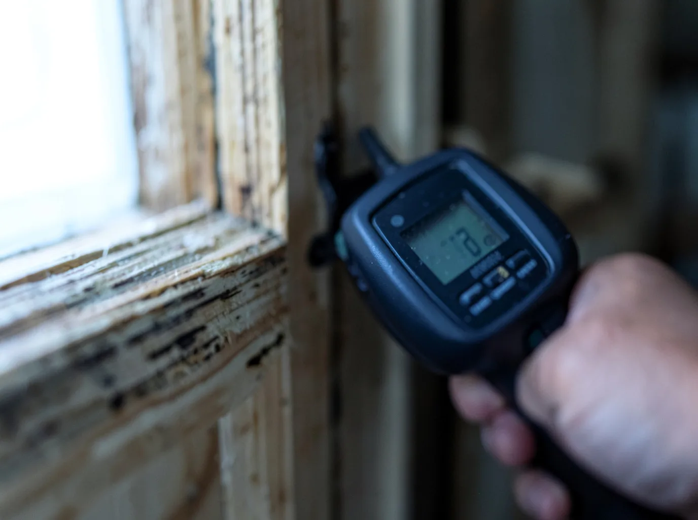 Moisture Inspection And Documentation in Argyle, GA